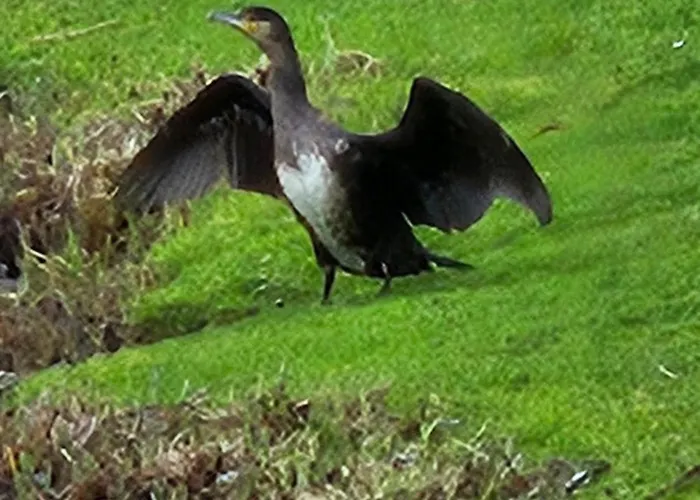 Appartamento Night & Day *