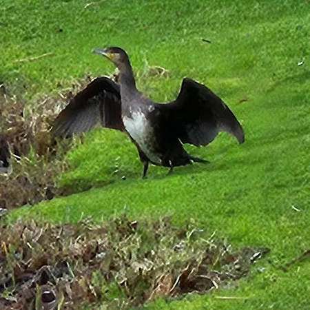 Apartment Night & Day *